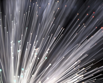 Paul Instrument Fund Committee