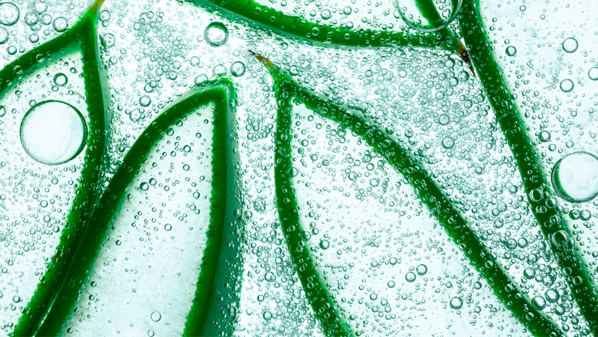 Blue grey green aloe vera pink transparent cosmetic cream gel retinol serum texture with bubbles isolated on white and multi-colour background