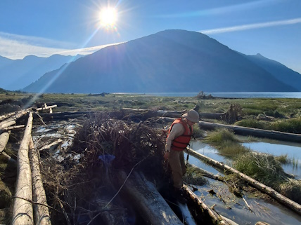 a person in a safety jacket standing in marshland