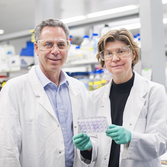 Professor Jane Visvader FRS and Professor Geoffrey Lindeman