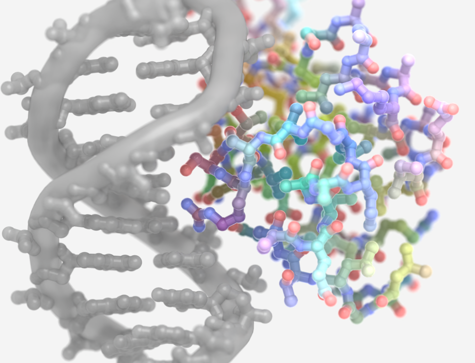 Credit Ian C. Haydon, University of Washington.