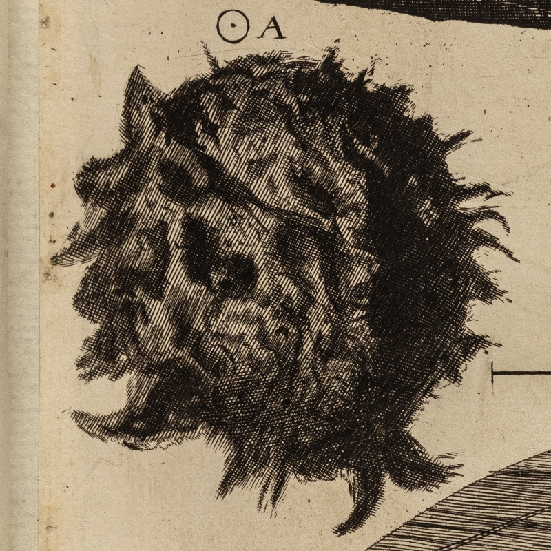 Printed full-stop, from Micrographia (1665)