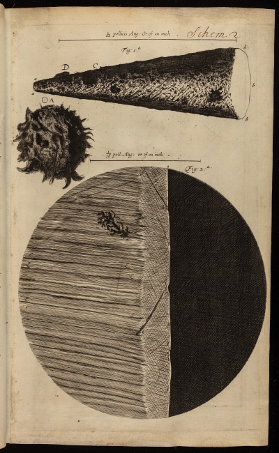 Needle tip, printed full-stop and razor’s edge, from Micrographia (1665)