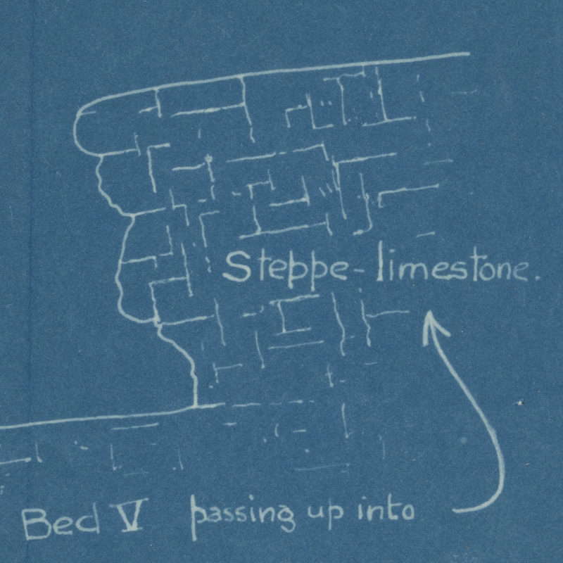 A section of the Olduvai Gorge (detail)