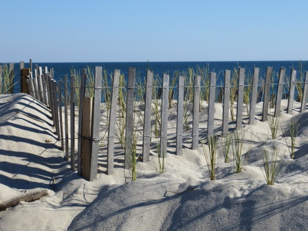 Coast