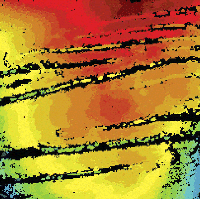 A three-dimensional white light interferogram of the surface of the slits of a lyriform organ, a very sensitive strain sensor in the cuticle of spiders.