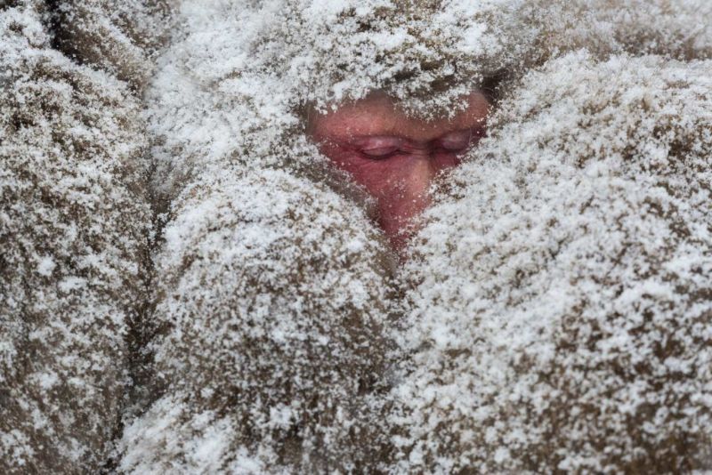 Alexandre Bonnefoy: Fubuki (snow storm) – Special commendation