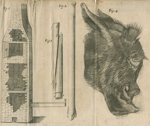 Plate from first volume of the Philosophical Transactions, 1665