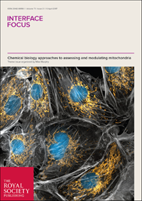 Chemical biology of mitochondria