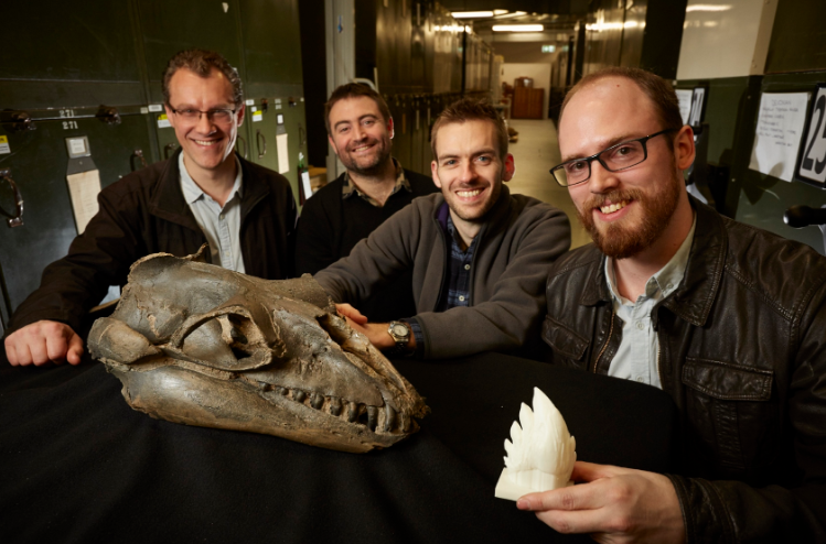Alistair-Evans-Erich-Fitzgerald-Felix-Marx-and-David-Hocking-with-Janjucetus-skull-and-3D-tooth-model_credit_Ben-Healley-Museums-Victoria.jpg