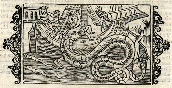 Sea serpent, from a 1555 book by Olaus Magnus