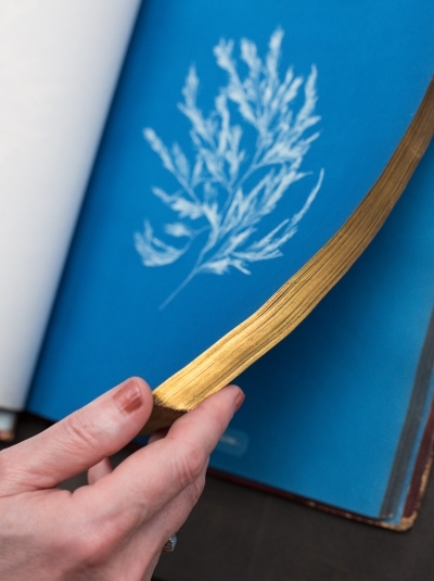Turning the pages of 'Photographs of British algae, cyanotype impressions' by Anna Atkins