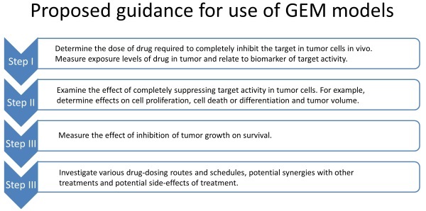Infographic about the use of GEM models. 