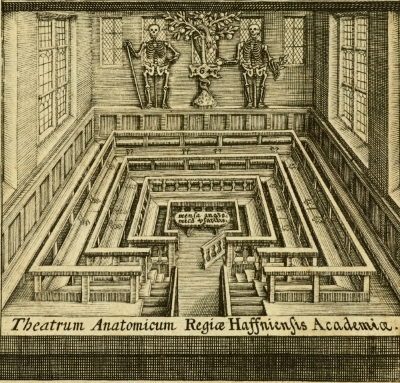 Theatrum Anatomicum: Det Kongelige Bibliotek (Müllers Pinakotek Collection) / Creative Commons