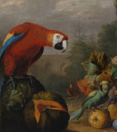 Jakab Bogdány ‘Still life with Fruits, Parrots and a White Cockatoo’ © Hungarian National Gallery