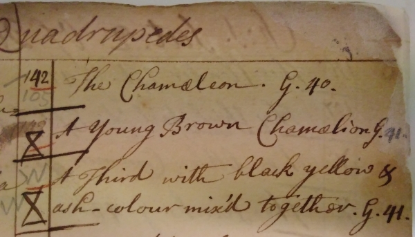 Snippet from MS/413, Catalogue of the Repository of the Royal Society, late eighteenth century