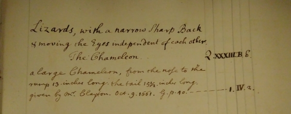 Snippet from MS/415, Catalogue of the Repository of the Royal Society, c. 1735