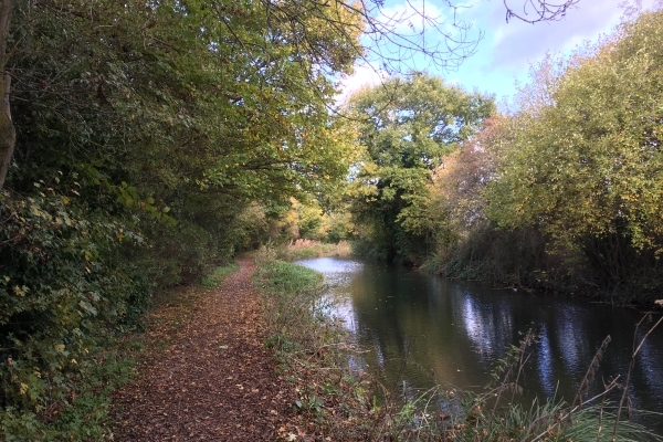A stretch of the Basingstoke Canal near Odiham