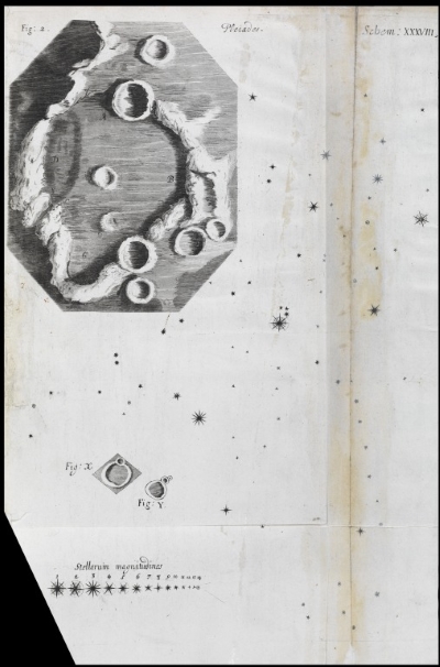 Plate XXXVIII from Robert Hooke’s ‘Micrographia’ (1665)