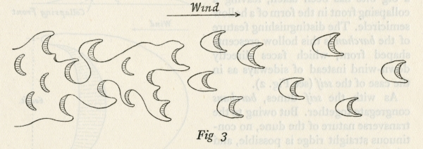 Barchan crescent dunes, described by R.A. Bagnold, 1933