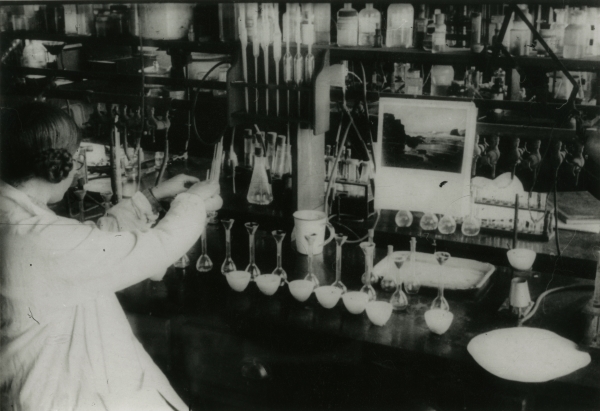 Elsie Widdowson working in the laboratory