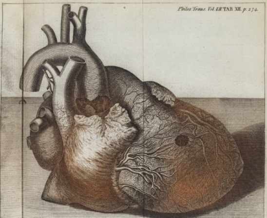 Engraving showing the royal heart
