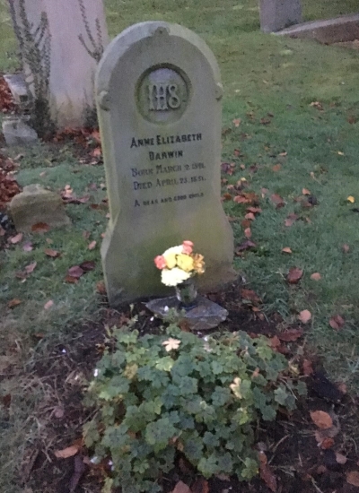 Anne Darwin’s grave in Great Malvern