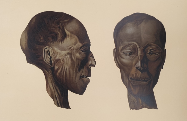 Profile and face of a male mummy