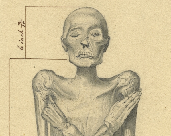 The face of Irtyersenu’s mummy