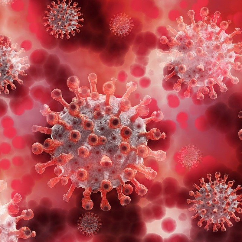 coronavirus