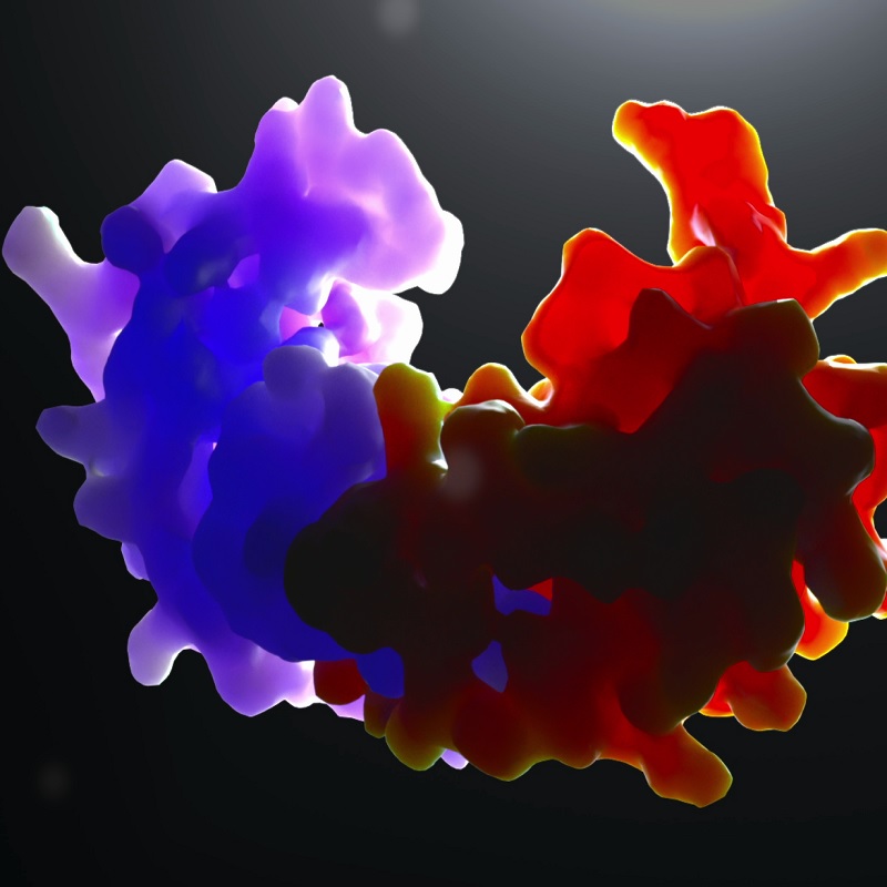Snapshot from a molecular dynamics simulation of the dimeric form of the epidermal growth factor receptor linked to various forms of cancer (taken from the Virtual Humans IMAX film https://m.youtube.com/watch?v=1ZrAaDsfBYY with permission).