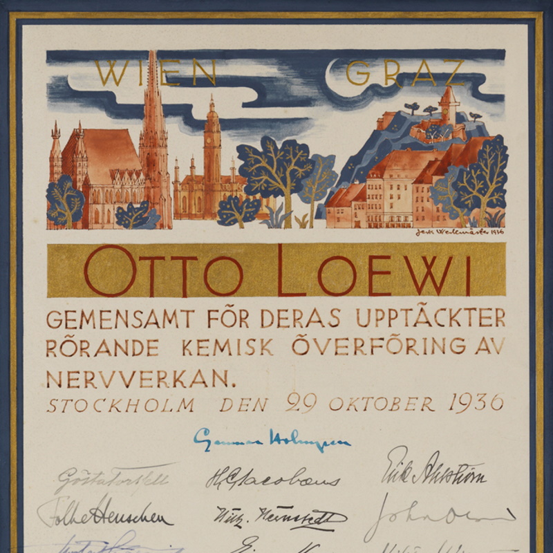 Otto Loewi’s Nobel Prize certificate, 1936 (detail)