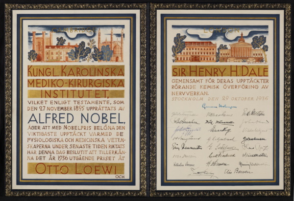 Henry Dale’s Nobel Prize certificate, 1936