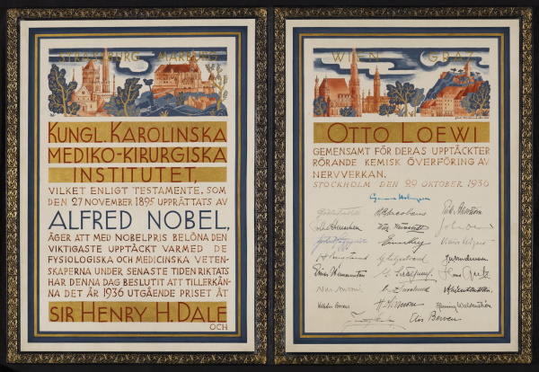 Otto Loewi’s Nobel Prize certificate, 1936