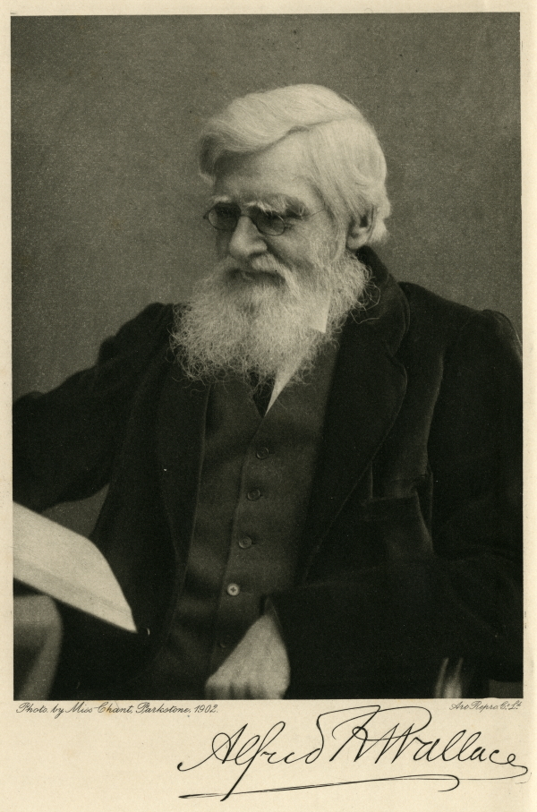 Alfred Russel Wallace, 1905