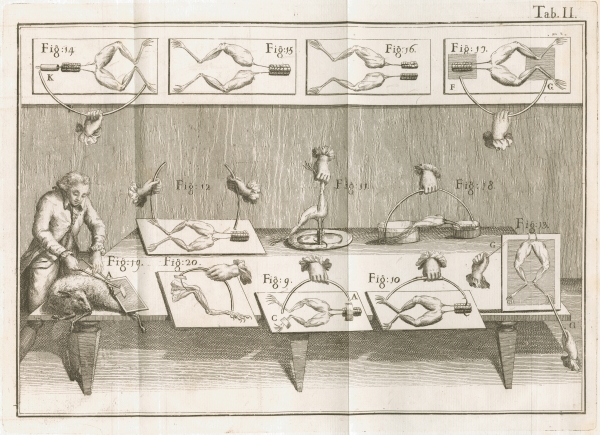 Galvani’s electrical experiments on frogs, 1792 