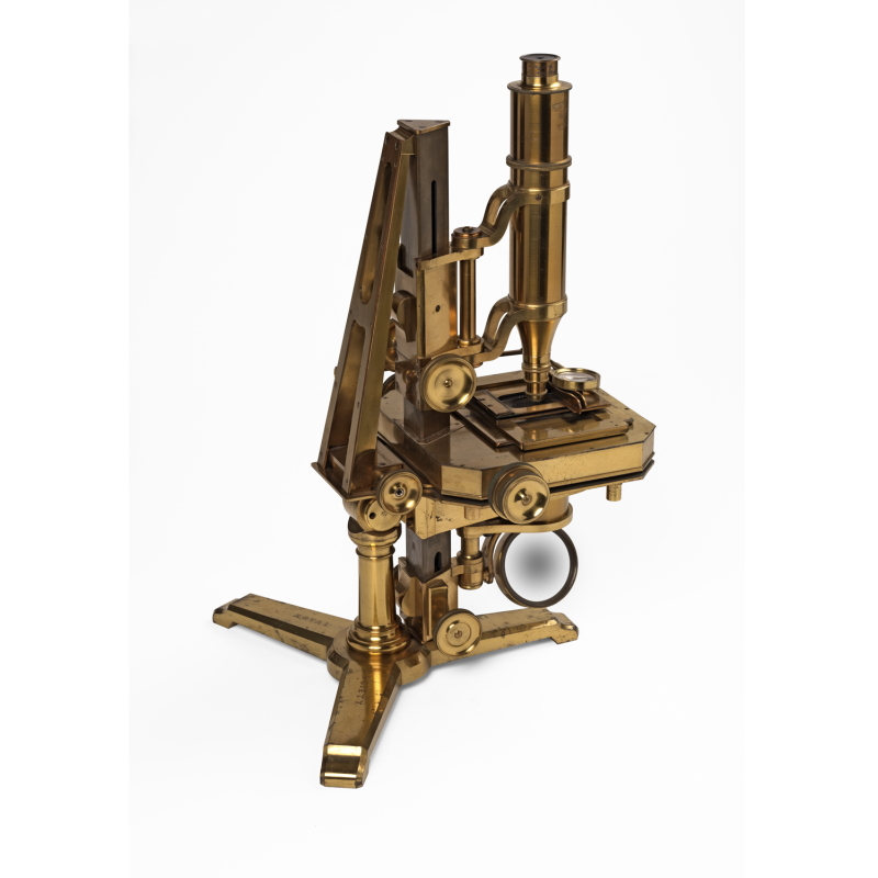 Powell and Lealand compound microscope