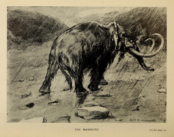 Mammoth by Alice Woodward, 1912 (Wikimedia Commons)