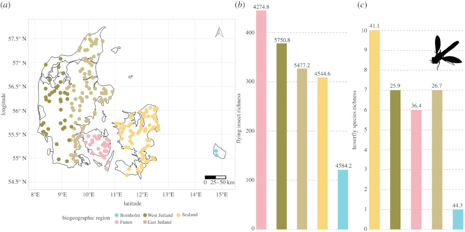 Observed total insect richness and hoverfly richness across biogeographic regions in Denmark