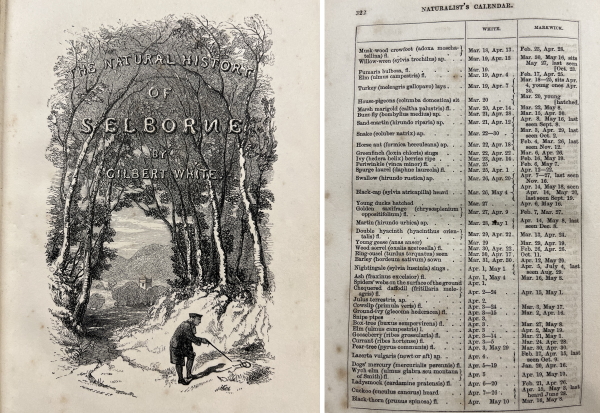 Title page and calendar from Gilbert White's 'Natural history of Selborne'
