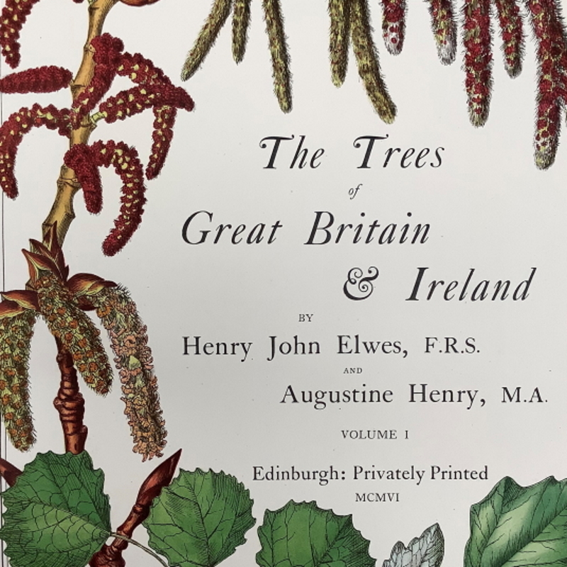 Title page of 'The trees of Great Britain and Ireland' volume 1, 1906 (detail)