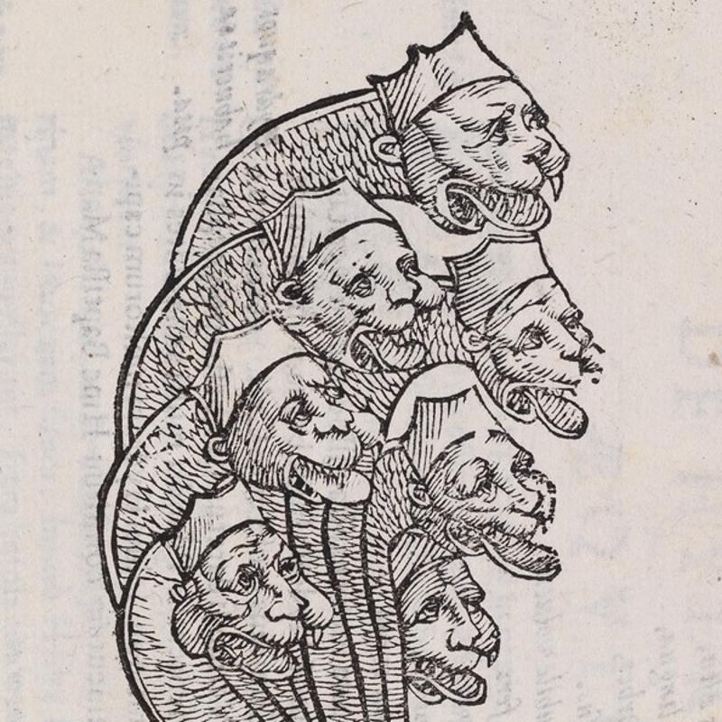Hydra from Aldrovandi’s 'Serpentum et draconum historiae', 1640 (detail)