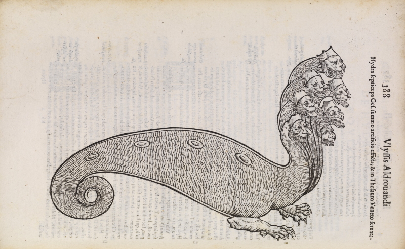 Hydra from Aldrovandi’s 'Serpentum et draconum historiae', 1640 