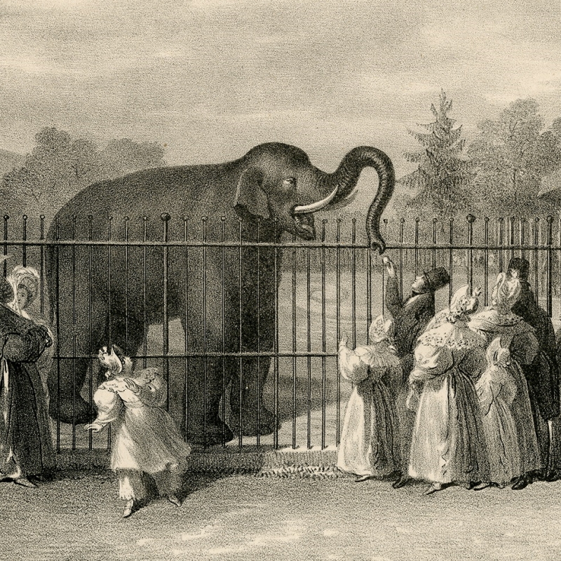 Elephant enclosure, from George Scharf, ‘Six Views in the Zoological Gardens, Regents Park', 1835 (detail)