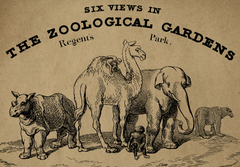 Frontispiece of George Scharf, ‘Six Views in the Zoological Gardens, Regents Park', 1835 (detail)