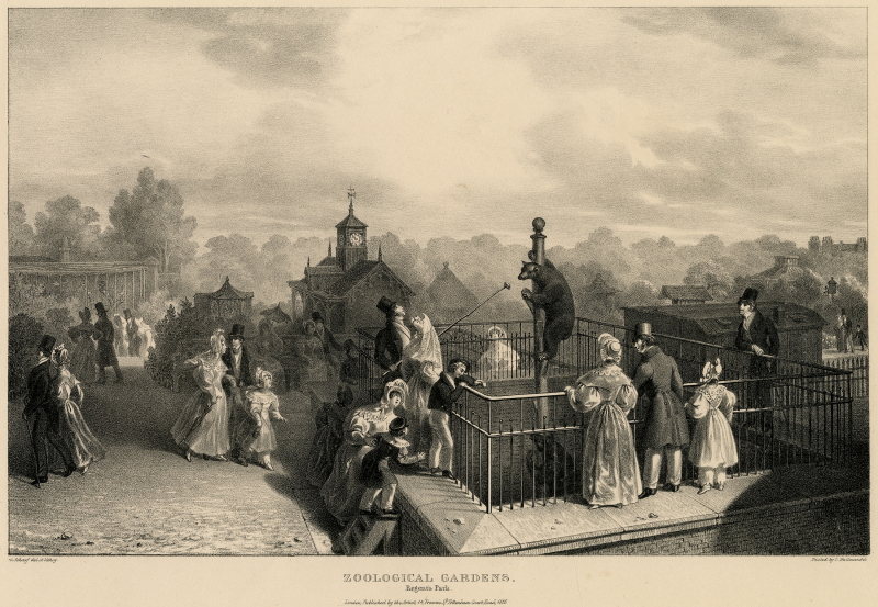 Bear pit, from George Scharf, ‘Six Views in the Zoological Gardens, Regents Park', 1835