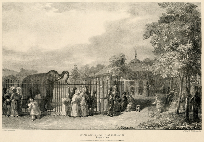 Elephant enclosure, from George Scharf, ‘Six Views in the Zoological Gardens, Regents Park', 1835