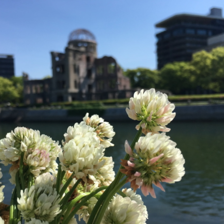 clover and hiroshima bomb dome