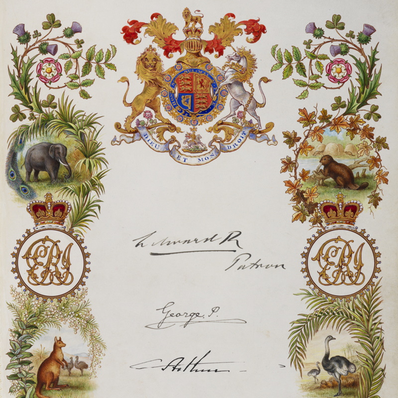 Royal Society Charter Book: Royal page for King Edward VII (detail)