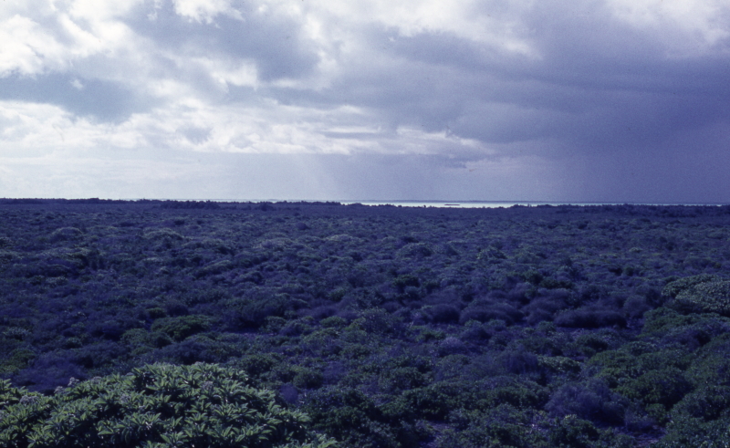 Terrain of Aldabra